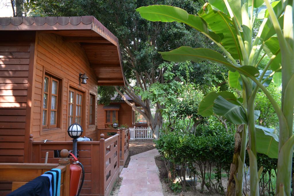 אלאניה Sevkibey Hotel מראה חיצוני תמונה
