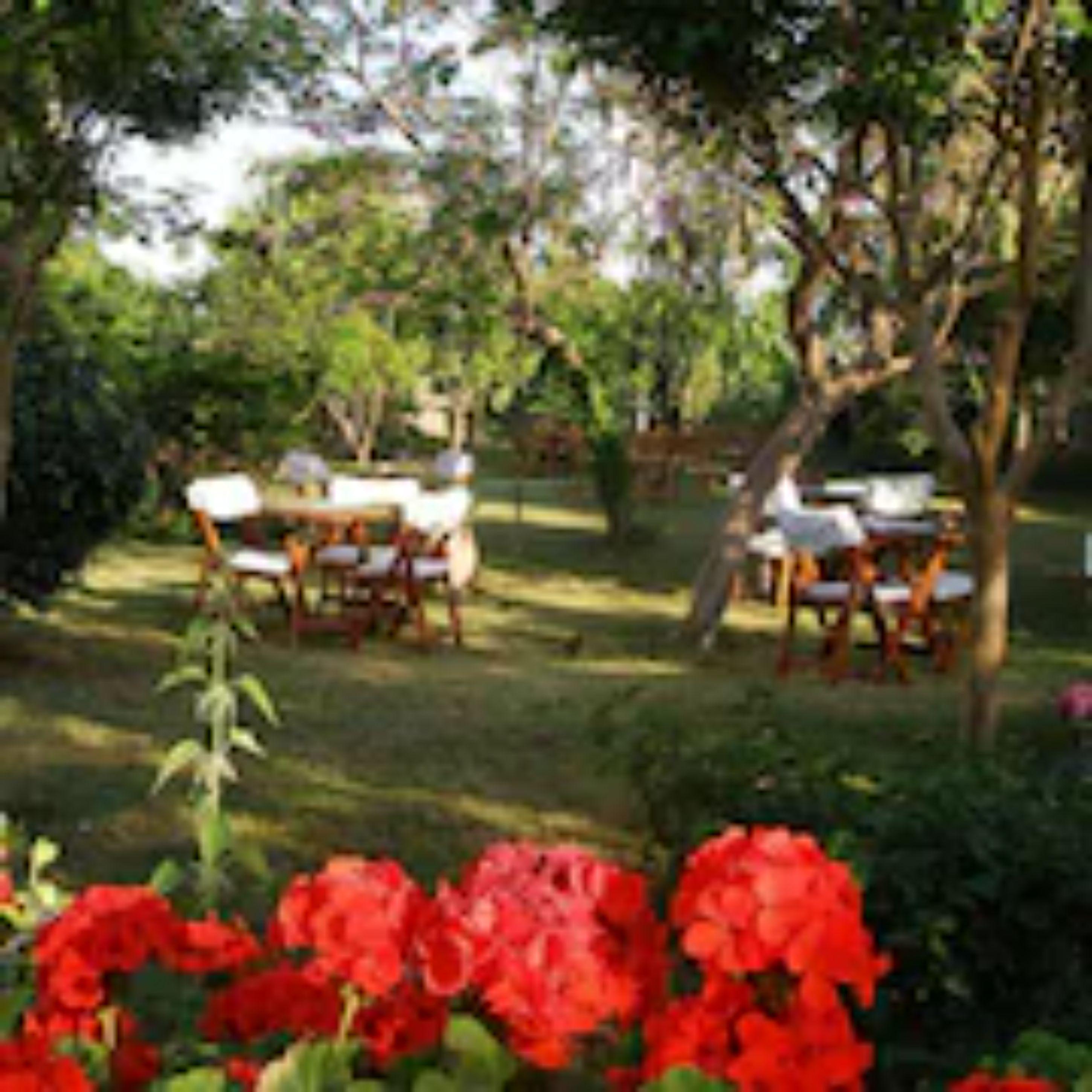 אלאניה Sevkibey Hotel מראה חיצוני תמונה