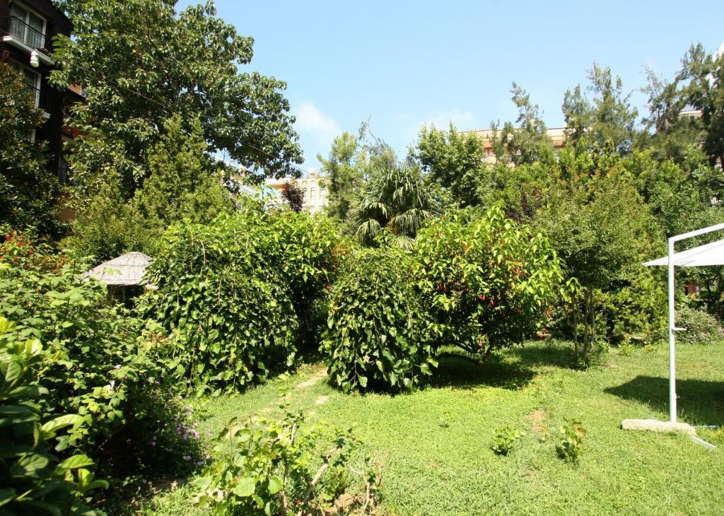 אלאניה Sevkibey Hotel מראה חיצוני תמונה