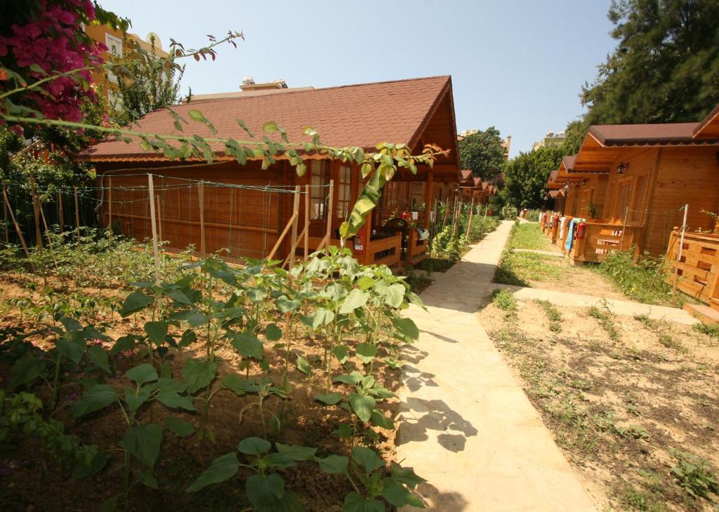 אלאניה Sevkibey Hotel מראה חיצוני תמונה