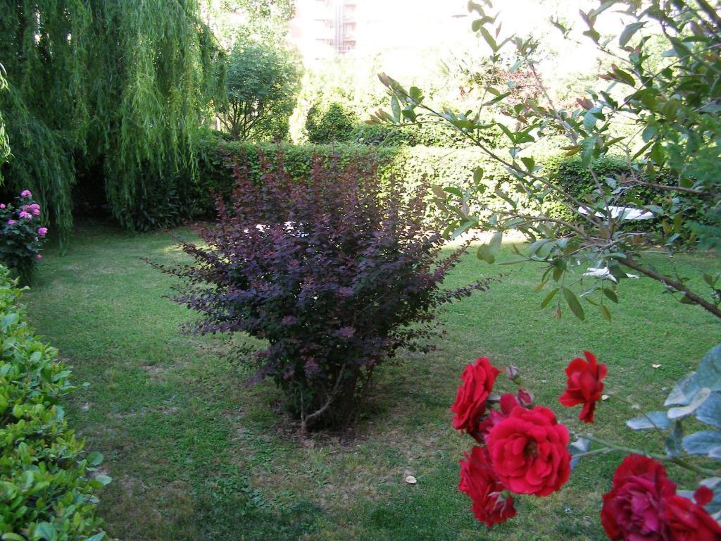 אלאניה Sevkibey Hotel מראה חיצוני תמונה