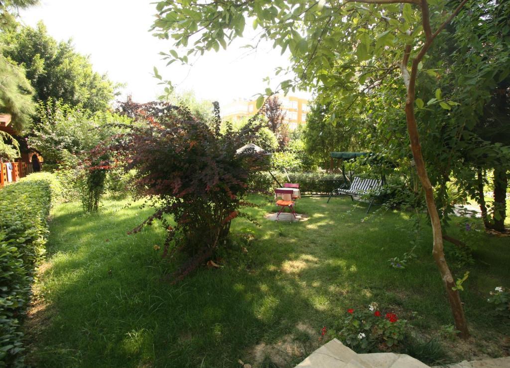 אלאניה Sevkibey Hotel מראה חיצוני תמונה